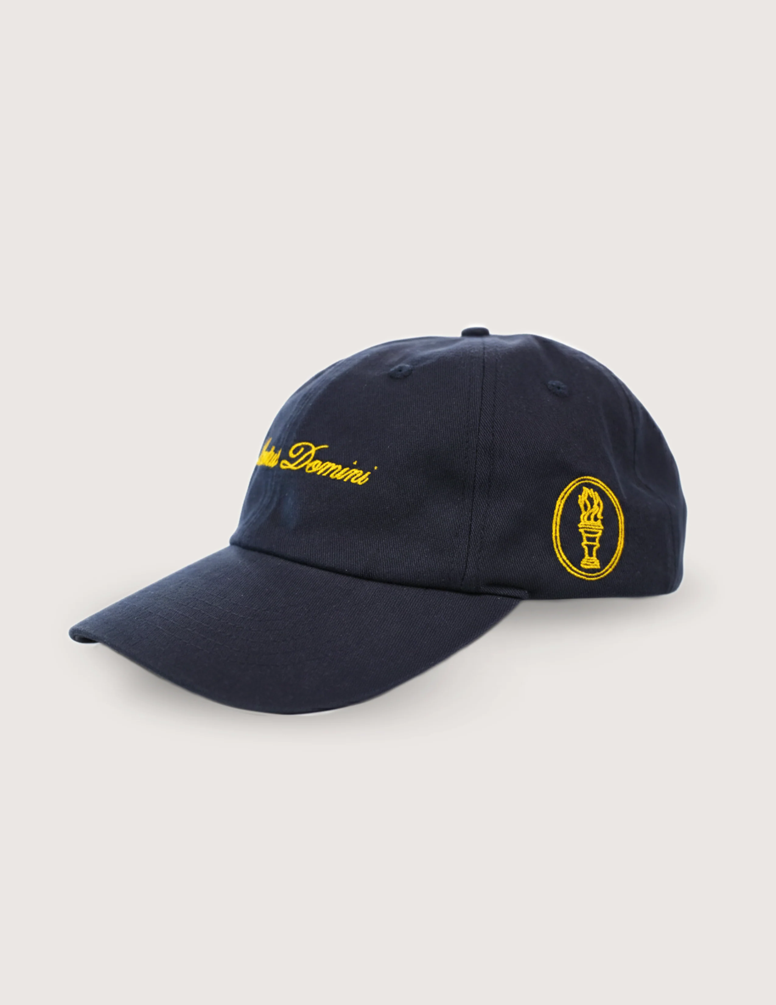 KIC Dad Cap - Image 2